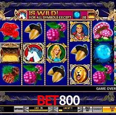 bet800 Rio de Janeiro - Professional Dealers